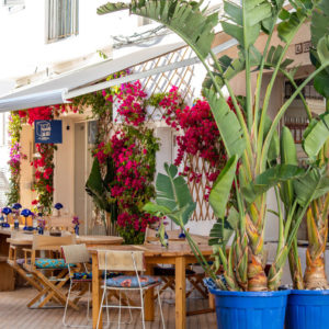Al Quèrto Formentera a Sant Francesc Xavier